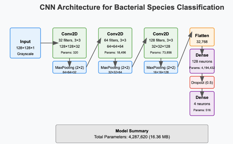 CNN Architecture